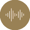 A brown circle with an image of sound waves.